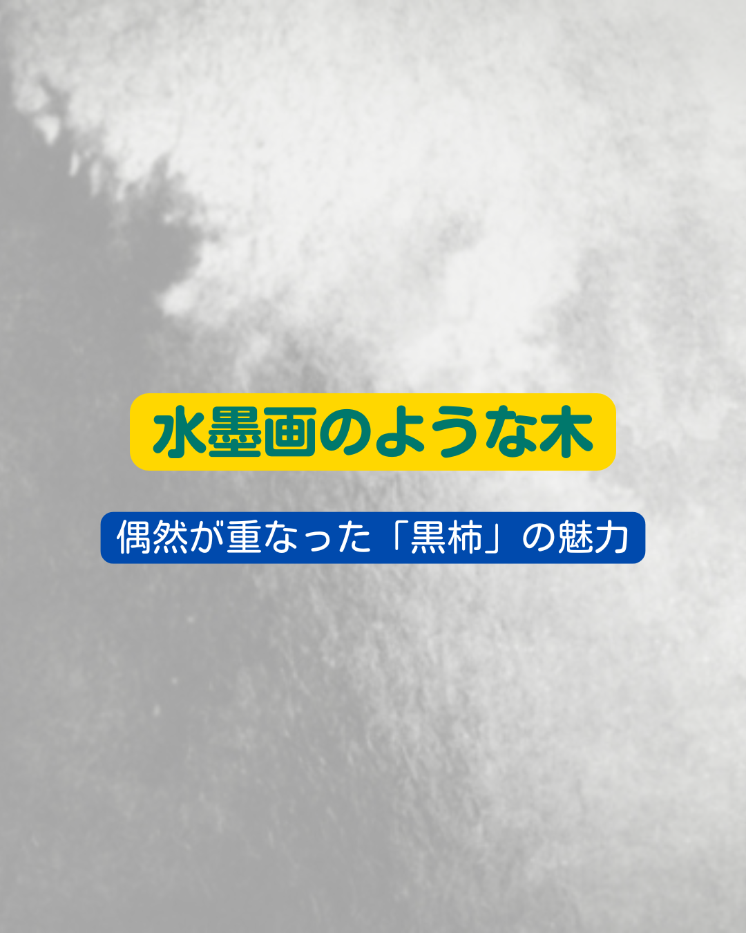 水墨画のような木。偶然が重なった「黒柿」の魅力