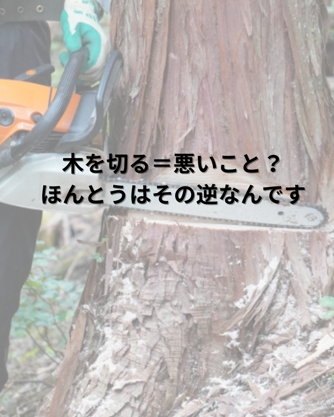 木を切る＝悪いこと？ ほんとうはその逆なんです。